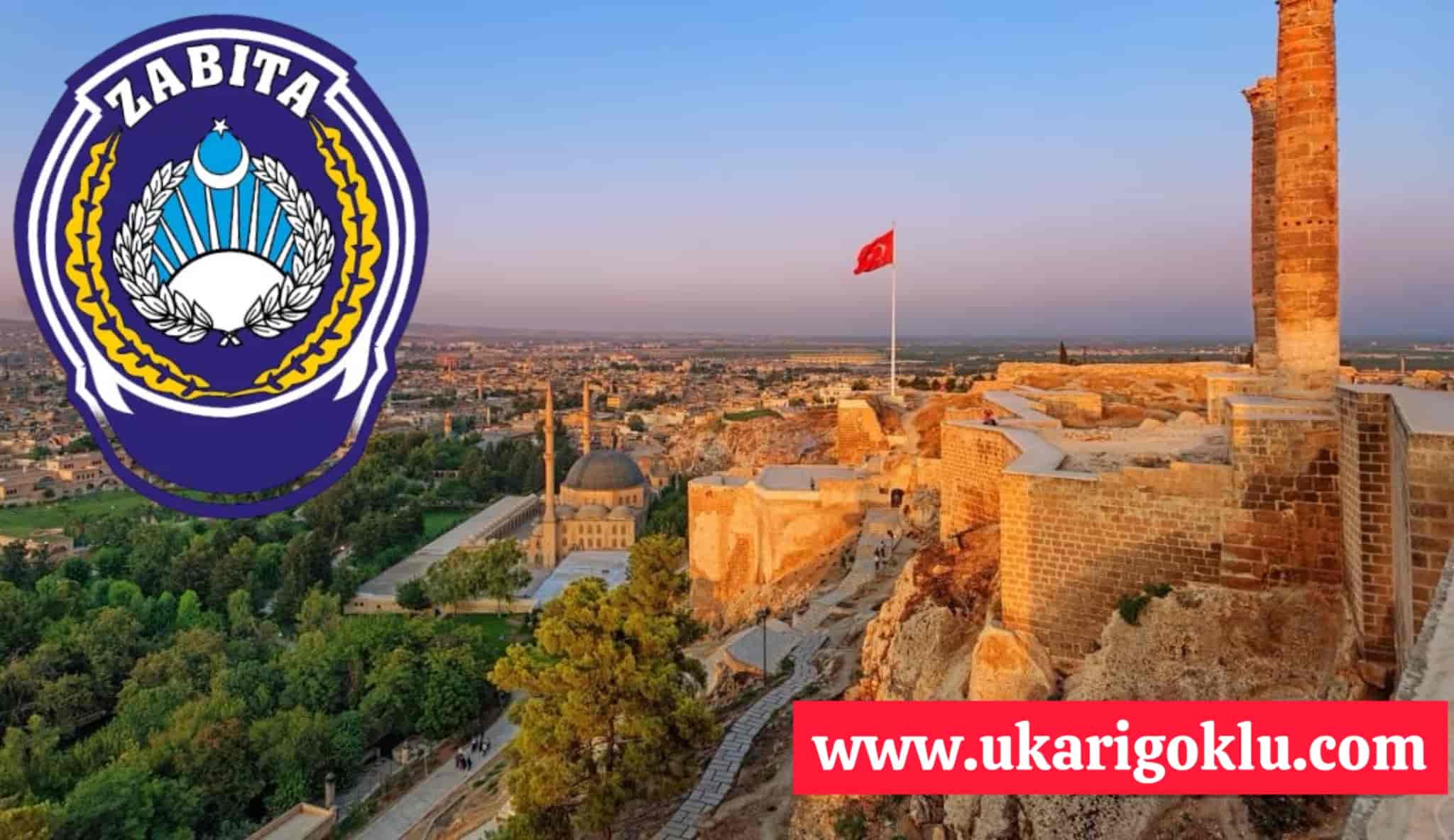 Urfa’da Etiketlenmemiş 10 ton Bozuk tavuk ele geçirildi